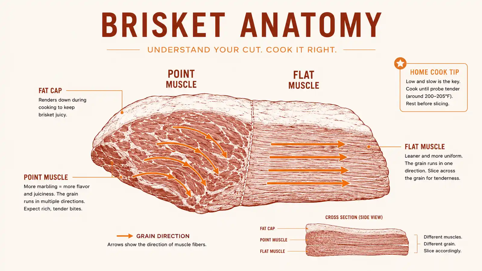 Simple diagram showing the grain direction change between the brisket point and flat, with an arrow showing the correct slicing direction