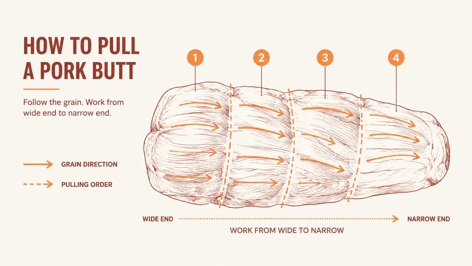 Diagram showing the direction to pull pork with the grain when shredding